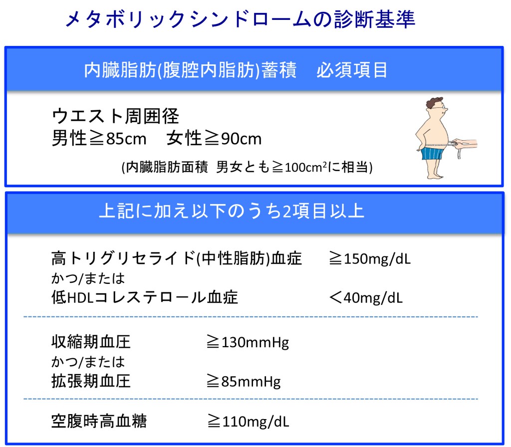 メタボリックシンドローム