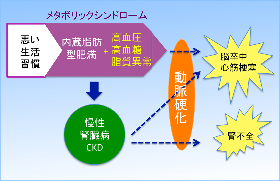 メタボリックシンドローム